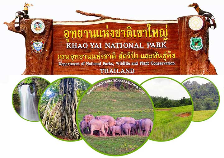 Khaoyai Tour